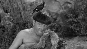 I'm a Monkey's Uncle — foto 1