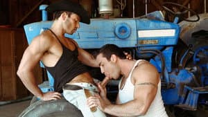 Muscle Ranch II — foto 3