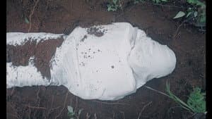 ഭൂമി — foto 1