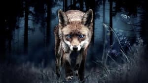 Japon, un nouveau monde sauvage — foto 3