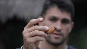Episodio 7