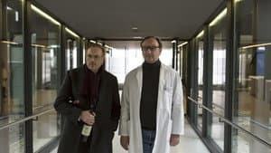 Arthur & Claire — foto 3