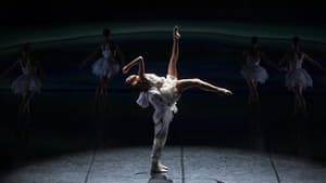 Le lac des cygnes au théâtre national de Chaillot — foto 2