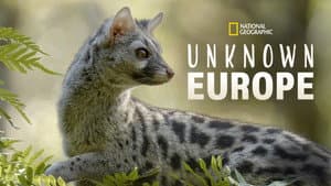 Hidden Wonders of Europe — foto 3