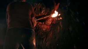 Boar — foto 2