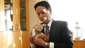 ネコナデ — foto 1