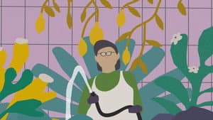 Sierra — foto 8