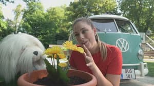 Episodio 43