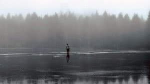 La vie dans les bois - D'après "Walden" de Henry David Thoreau — foto 1
