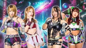 STARDOM NIGHTER in KORAKUEN 2026 Apr.2 — foto 2