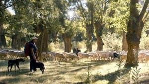 Espagne, la voie des bergers — foto 1