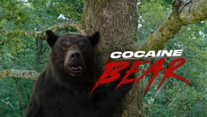 Oso intoxicado — foto 7