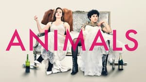 Animals — foto 6