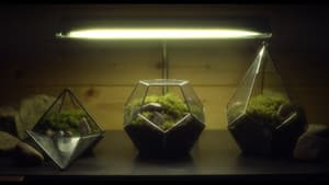 A Dim Valley — foto 2