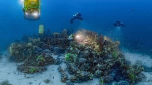 Planète Méditerranée — foto 5