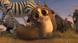 Madly Madagascar — foto 7