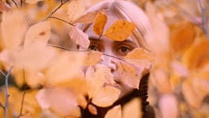 Білий птах з чорною ознакою — foto 10