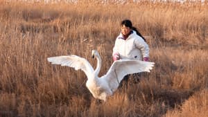 I Swan — foto 1