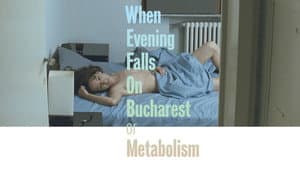 Când se lasa seara peste Bucuresti sau metabolism — foto 3