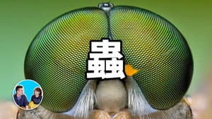 Episodio 112