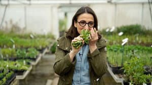 La vérité si je menthe — foto 1