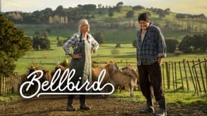 Bellbird — foto 2
