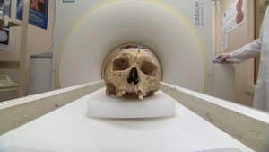 Forensic Firsts — foto 1