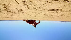 The Outwaters — foto 10
