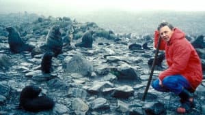 The Living Planet — foto 1