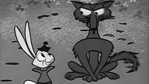 Peter Cottontail — foto 1