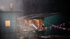 साला बंदर — foto 1
