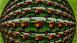 Контакт — foto 5