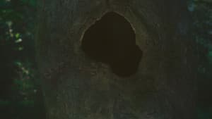 Earthen — foto 1
