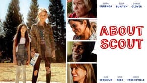 About Scout — foto 2