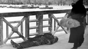 Leningrad. Stimmen einer belagerten Stadt — foto 4