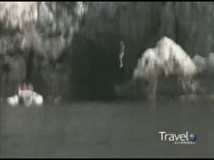 Episodio 6