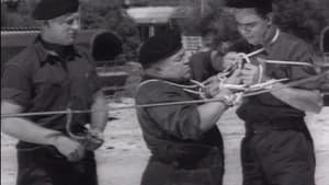 Fratse in die Vloot — foto 1