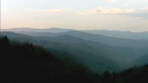 Bigfoot Witness — foto 1