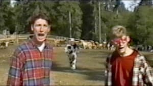 The Cow Knocks Twice II — foto 2