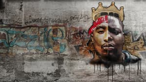 Hip-Hop Evolution — foto 3