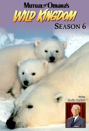 Temporada 6
