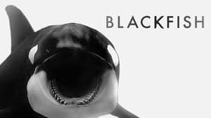 Blackfish — foto 11