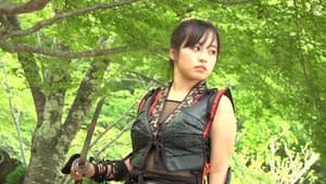 武田くノ一忍法伝 千代女 — foto 1