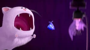 Cat and Moth — foto 4