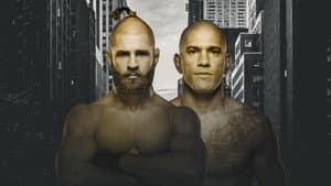 UFC 295: Prochazka vs. Pereira — foto 2
