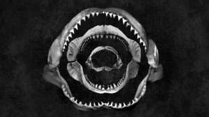 Shark Eat Shark — foto 1