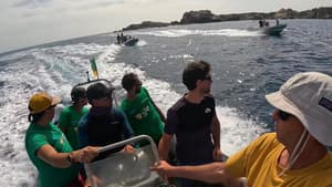 Via Annaba — foto 8