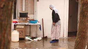 Mirov — foto 3