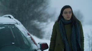 Kar ve Ayı — foto 2