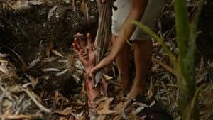 La esposa del diablo — foto 11